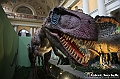 VBS_1039 - Dinosauri. Terra dei giganti